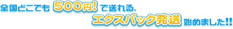 �P���������̕��ɘN��I�S���ǂ��ł�500�~�ő����u�G�N�X�p�b�N�����v�n�߂܂����B